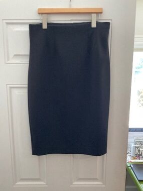 Express pencil skirt